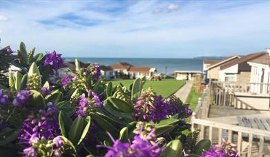 golden bay holiday village purple flowers