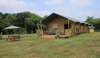 Jurassic Glamping