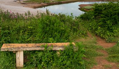 East Budleigh and River Otter Walk