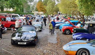 Classic Car Show Display