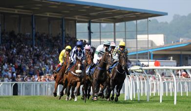 Newton Abbot Racecourse
