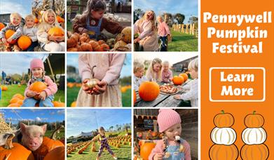 Pennywell's Pumpkin Festival