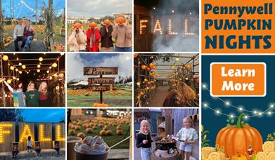 Pumpkin Nights at Pennywell Farm
