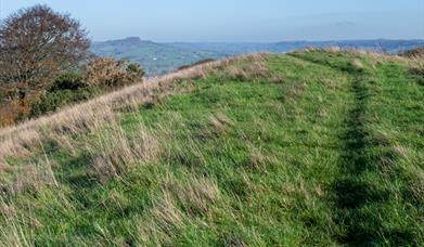 Dumpdon Hill Fort